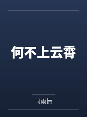 何不上云霄小说讲的什么